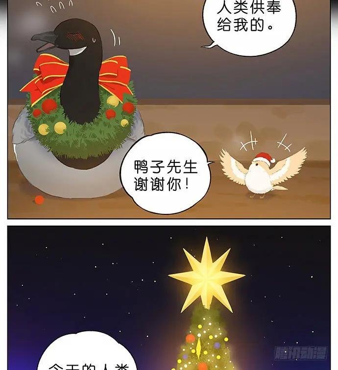圣诞快乐~！