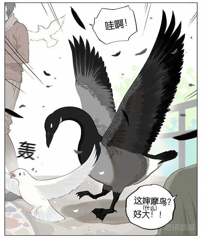 觅食。