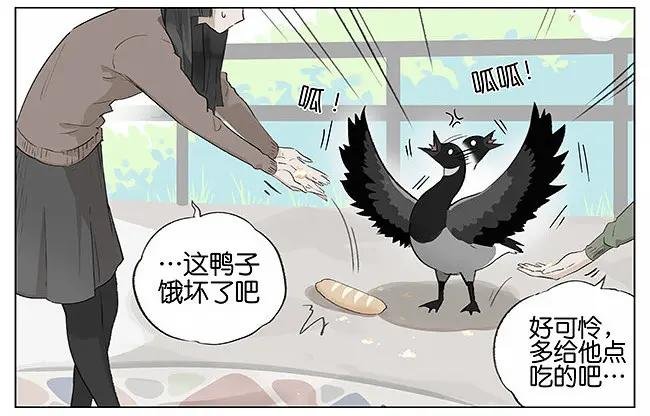 觅食。