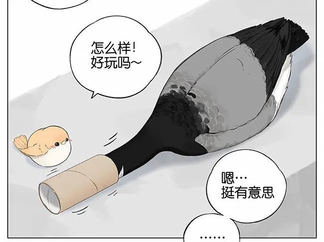 卷纸芯。