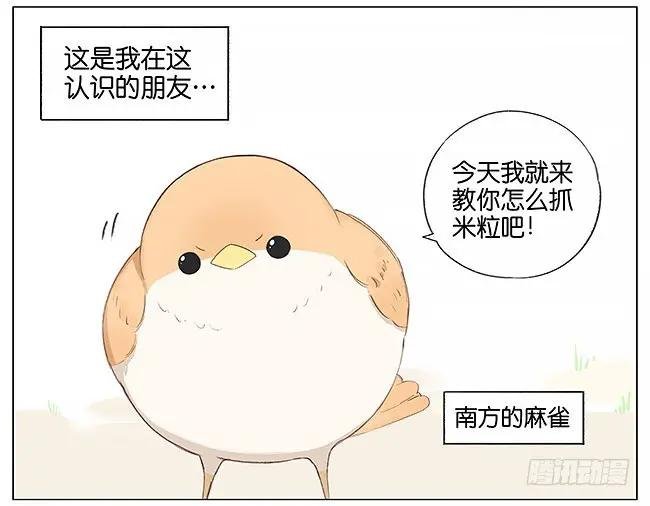 米粒。