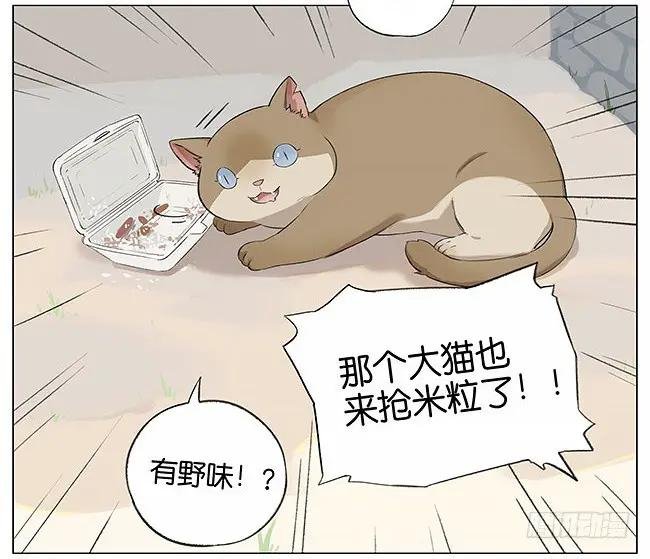 米粒。