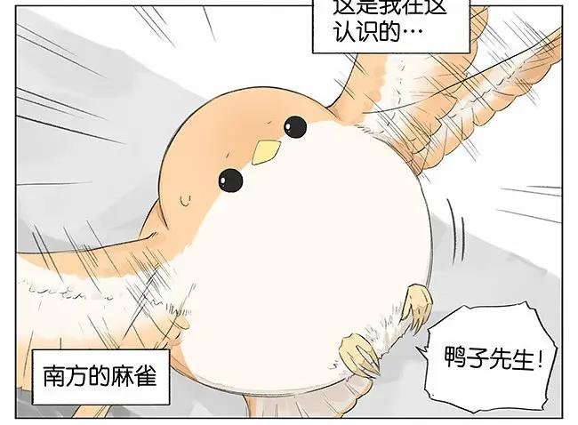 下雪了。