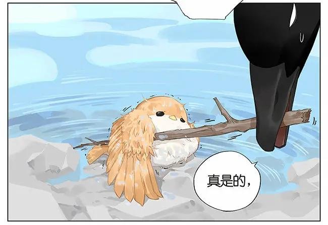 游泳。