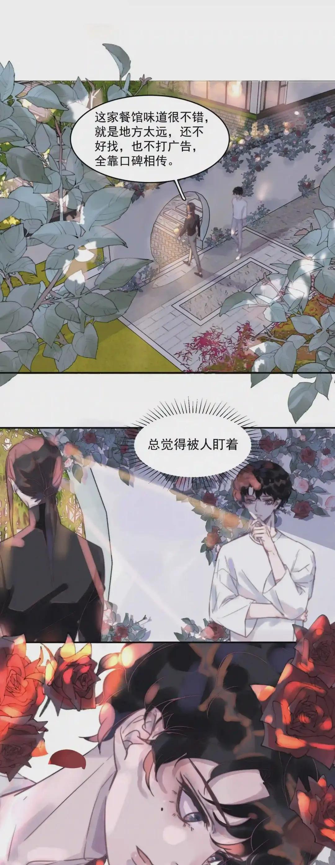 007 蔷薇花很好看!