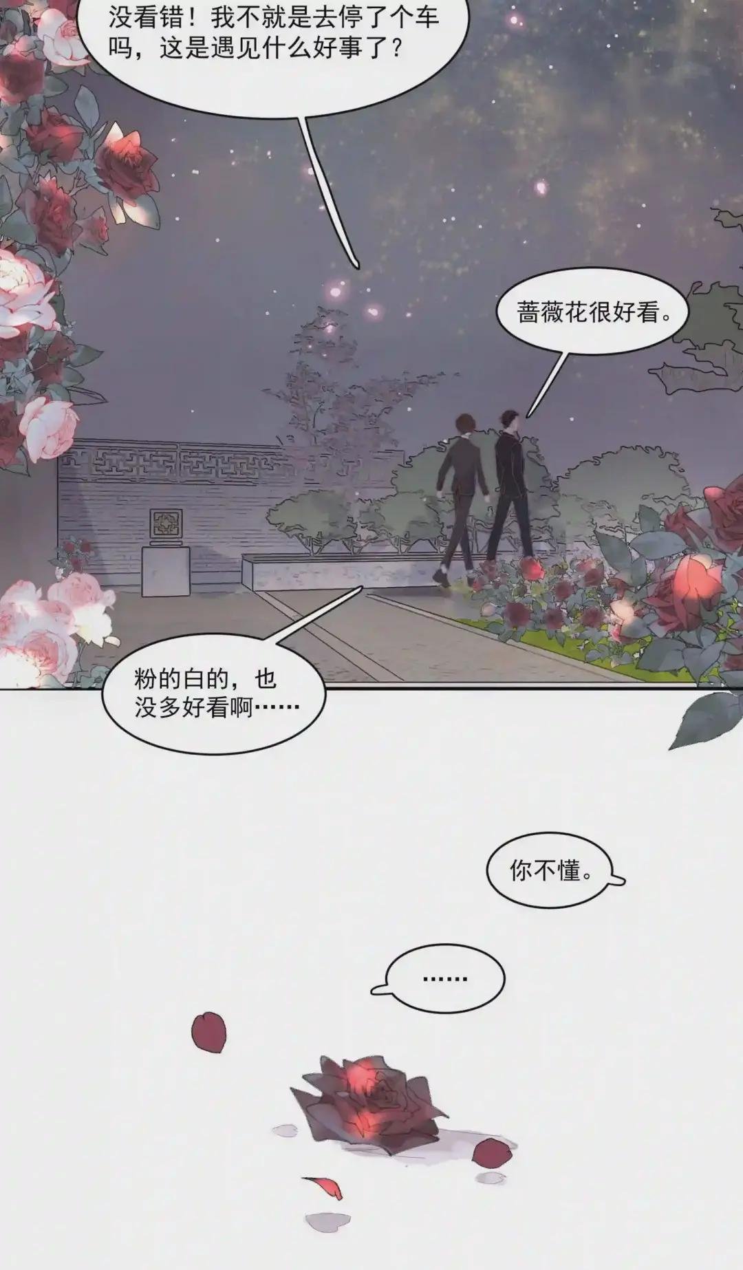 007 蔷薇花很好看!
