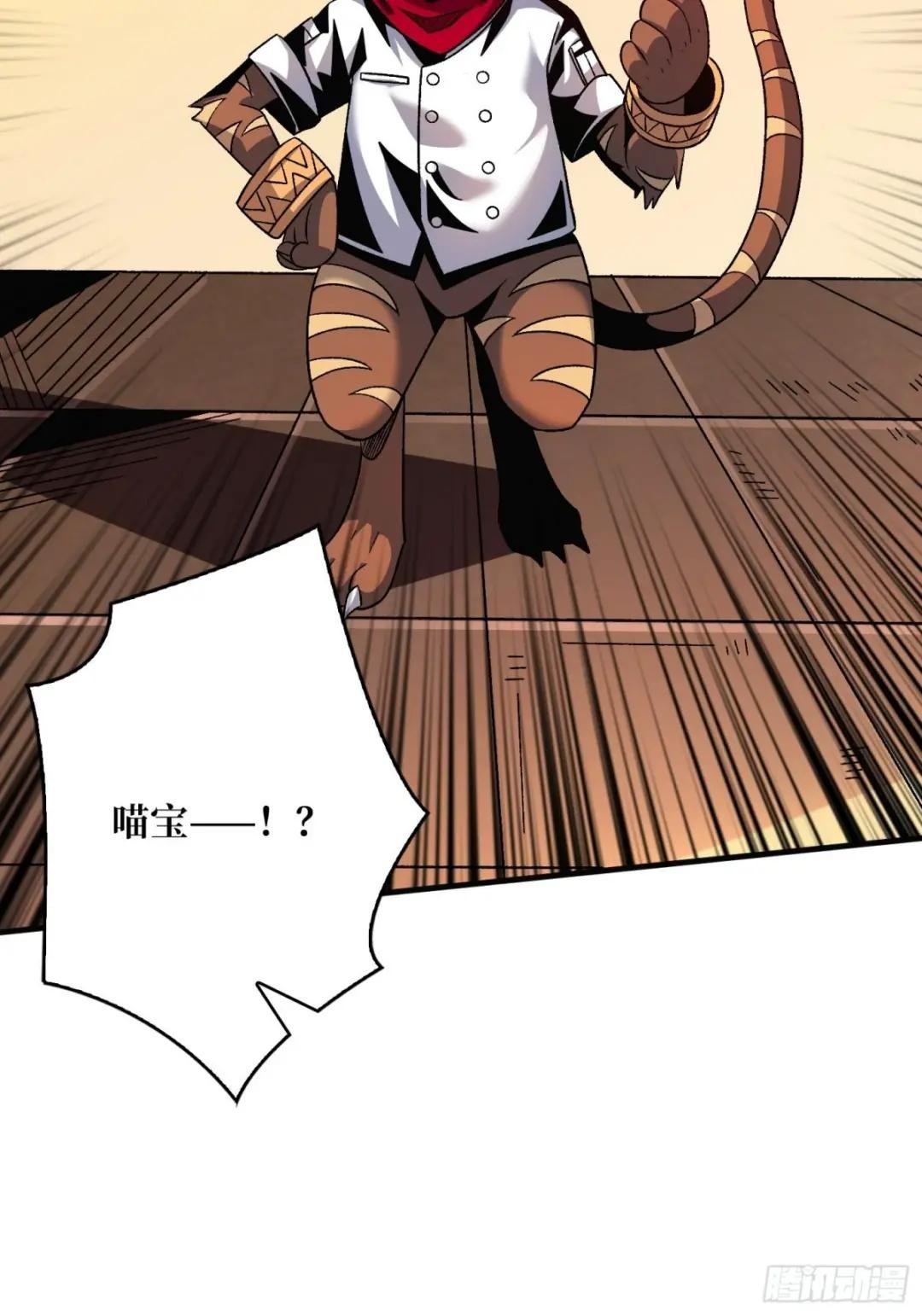 还不如一只喵？