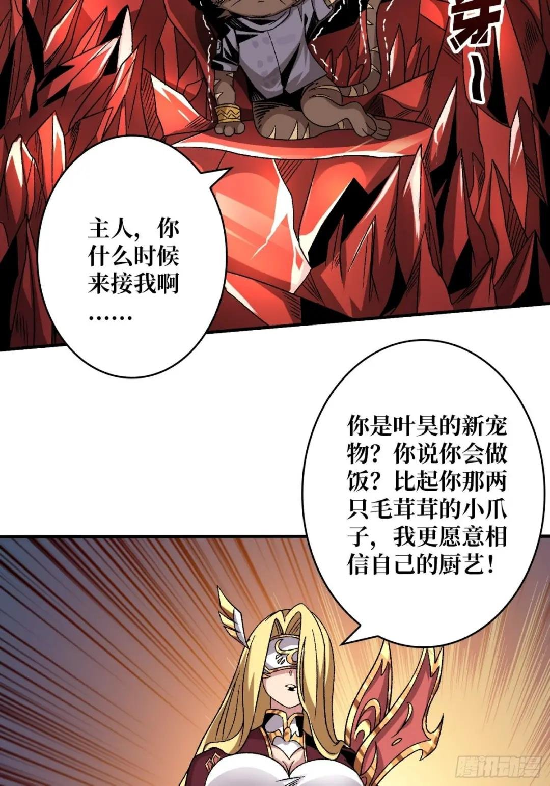 还不如一只喵？