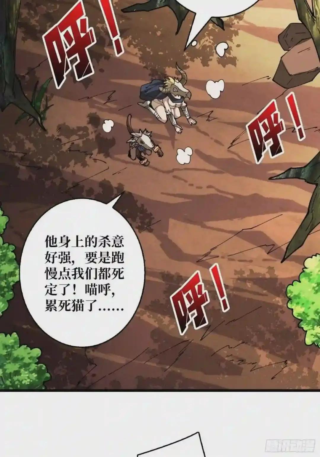 猫与谜之少女