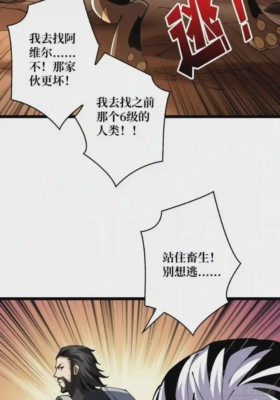 猫的报恩