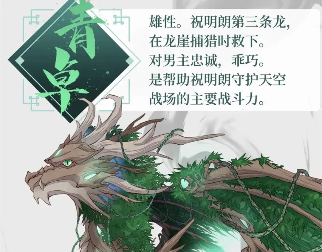 人设&龙设