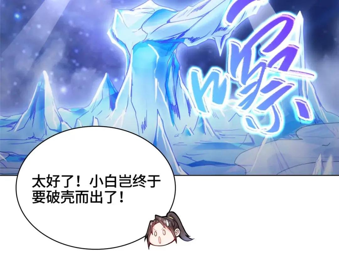09 白岂回归