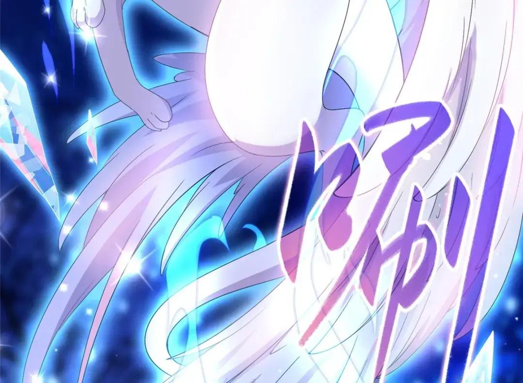 09 白岂回归