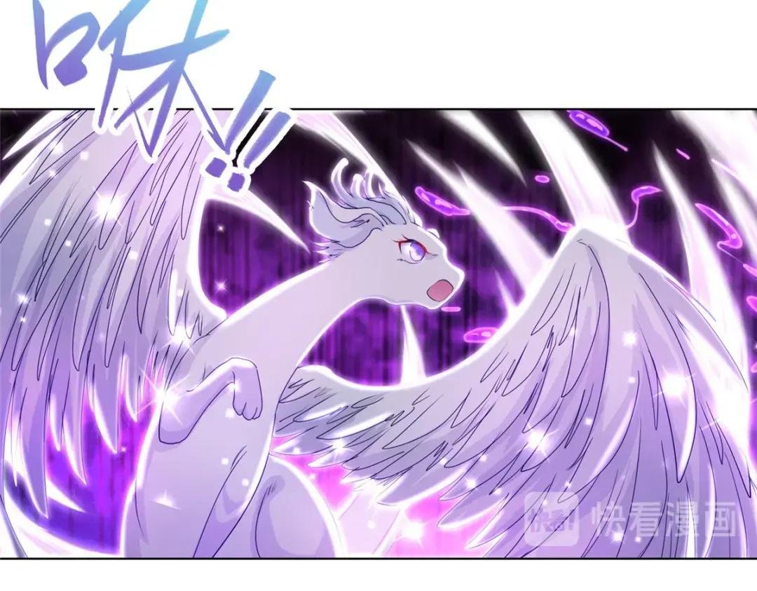 11 激斗！绿林龙VS白岂