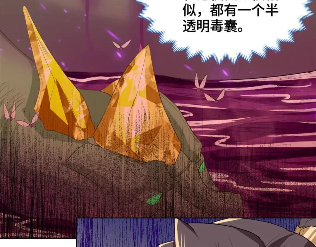 148进化之谜