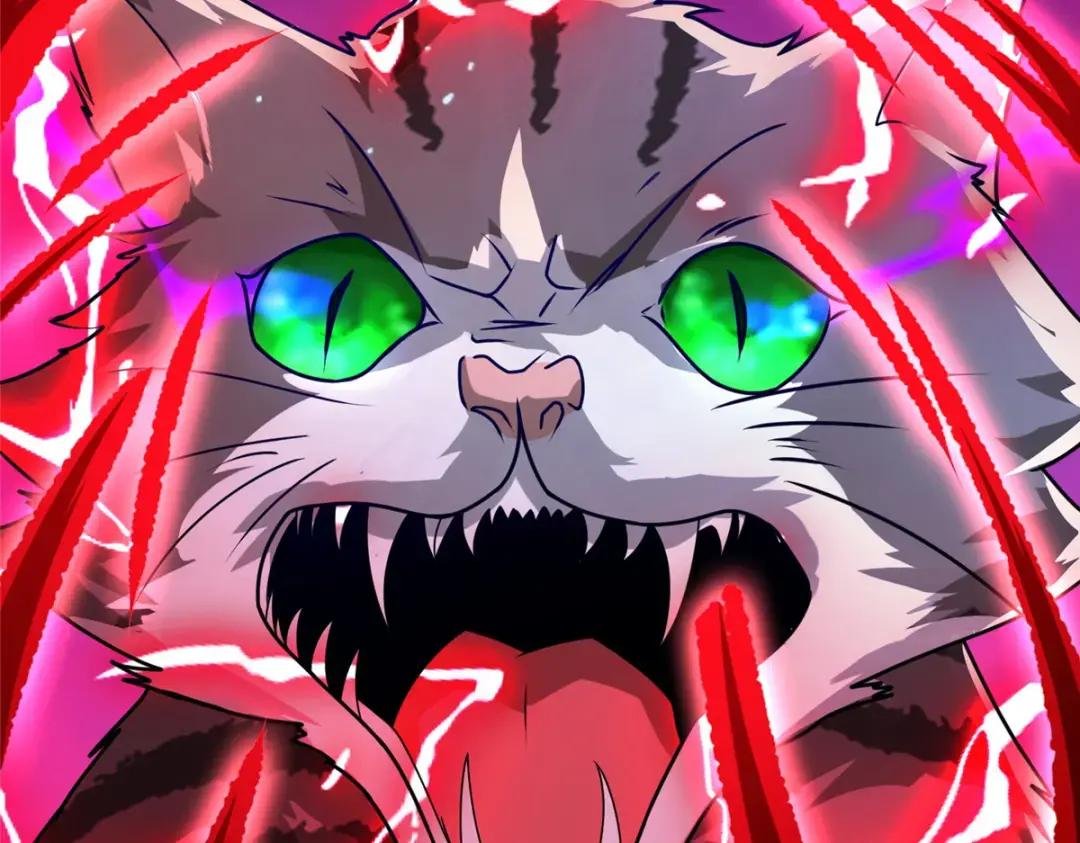 172 孽兽花猫
