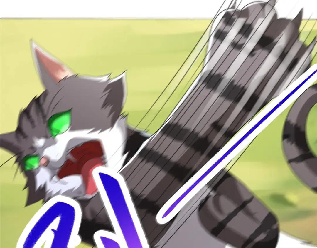 172 孽兽花猫