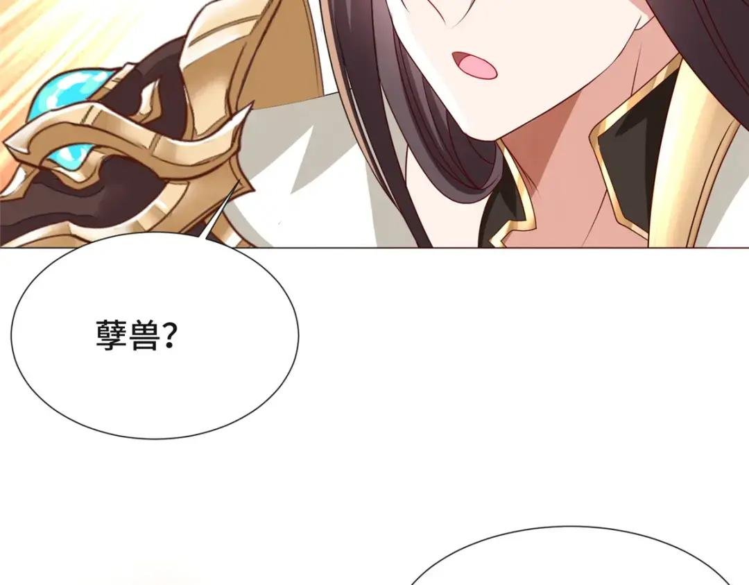 172 孽兽花猫