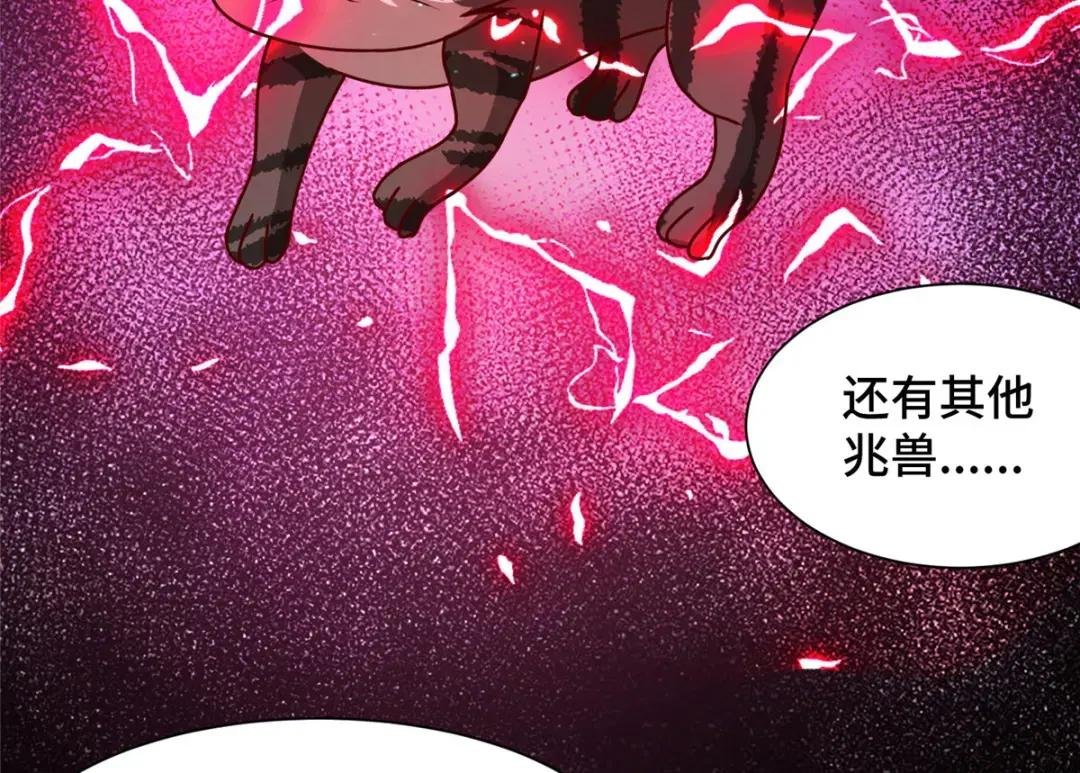 172 孽兽花猫