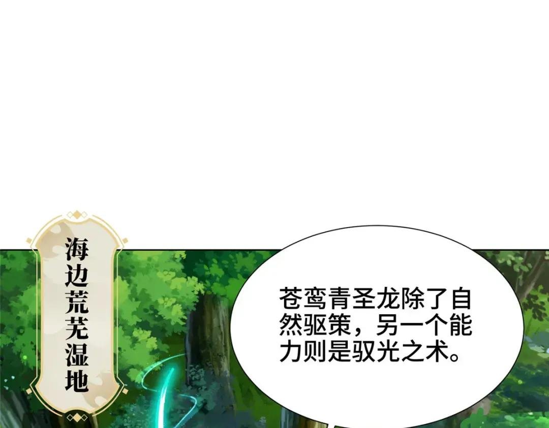 194 湿地训练