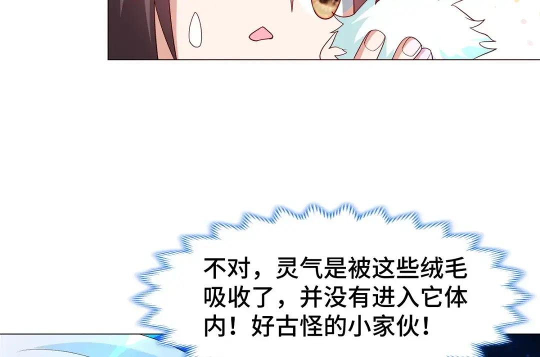 206 灵井小精灵