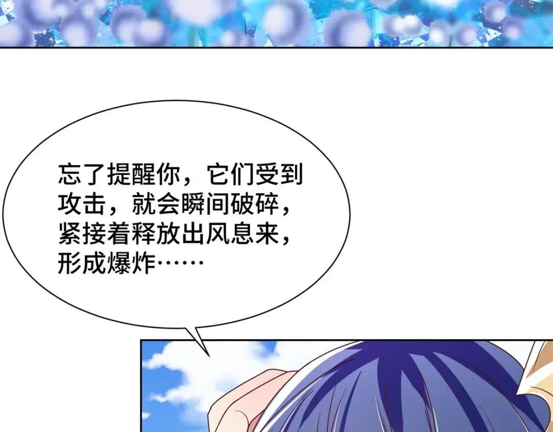 231 风晶蒲公英