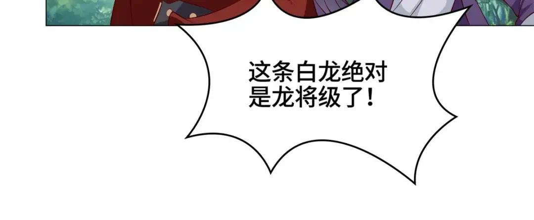 28 白岂的苍龙玄术！
