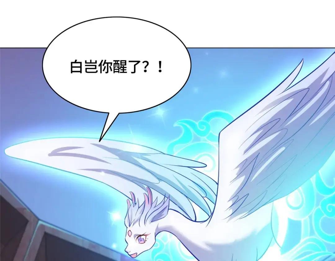 35 爱心宝甲
