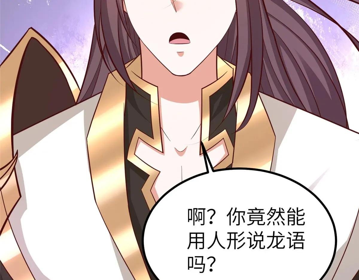 481 伪龙之境