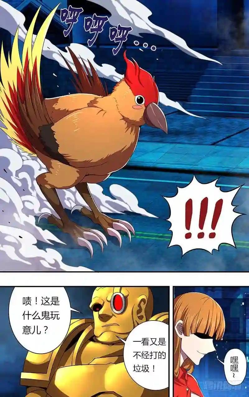 第59话 走火鸟