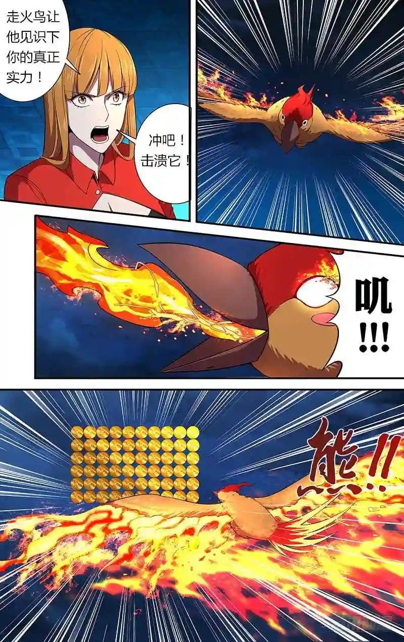 第59话 走火鸟