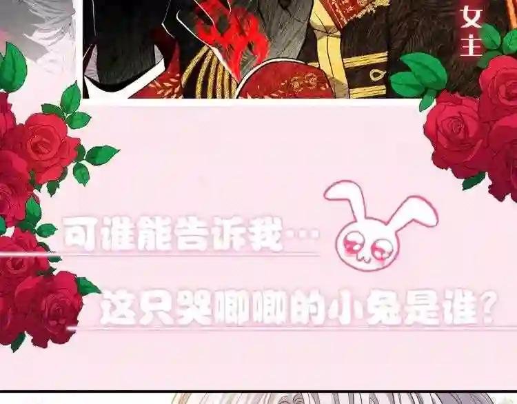序章 治愈兔兔的N种方式