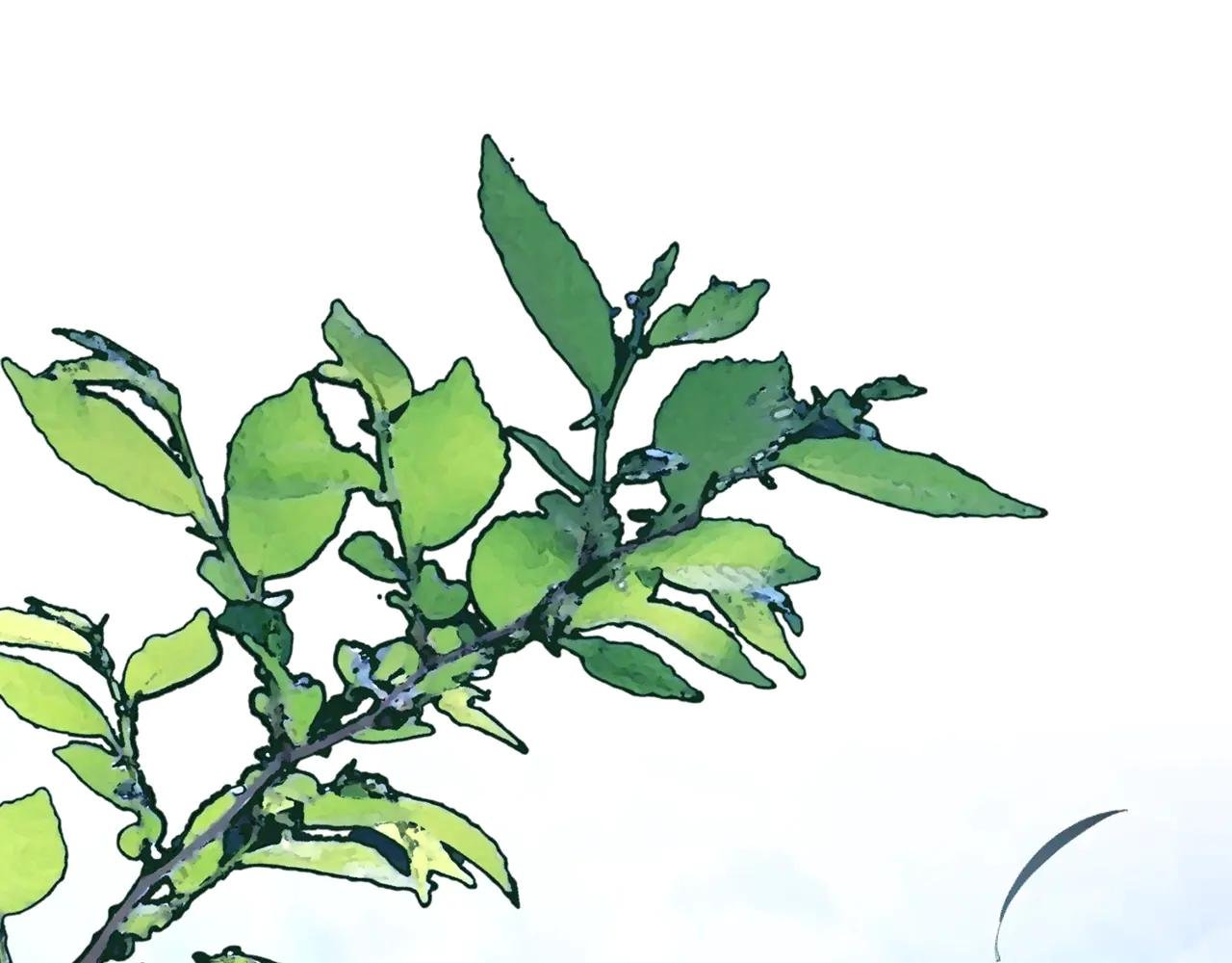 第16话 一起睡？