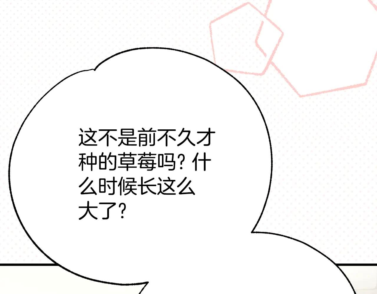 第26话 喂草莓