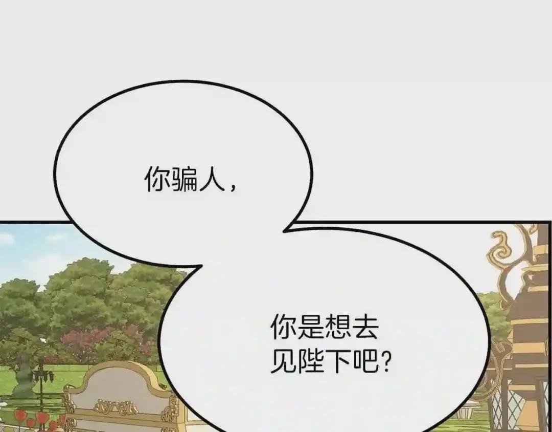 第12话 保护夫人