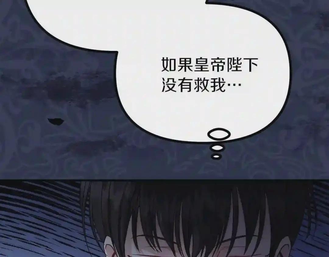 第17话 我是你的猫