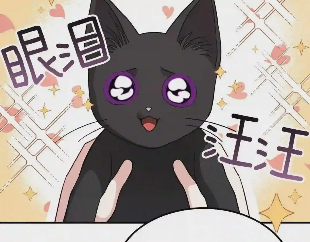 第17话 我是你的猫