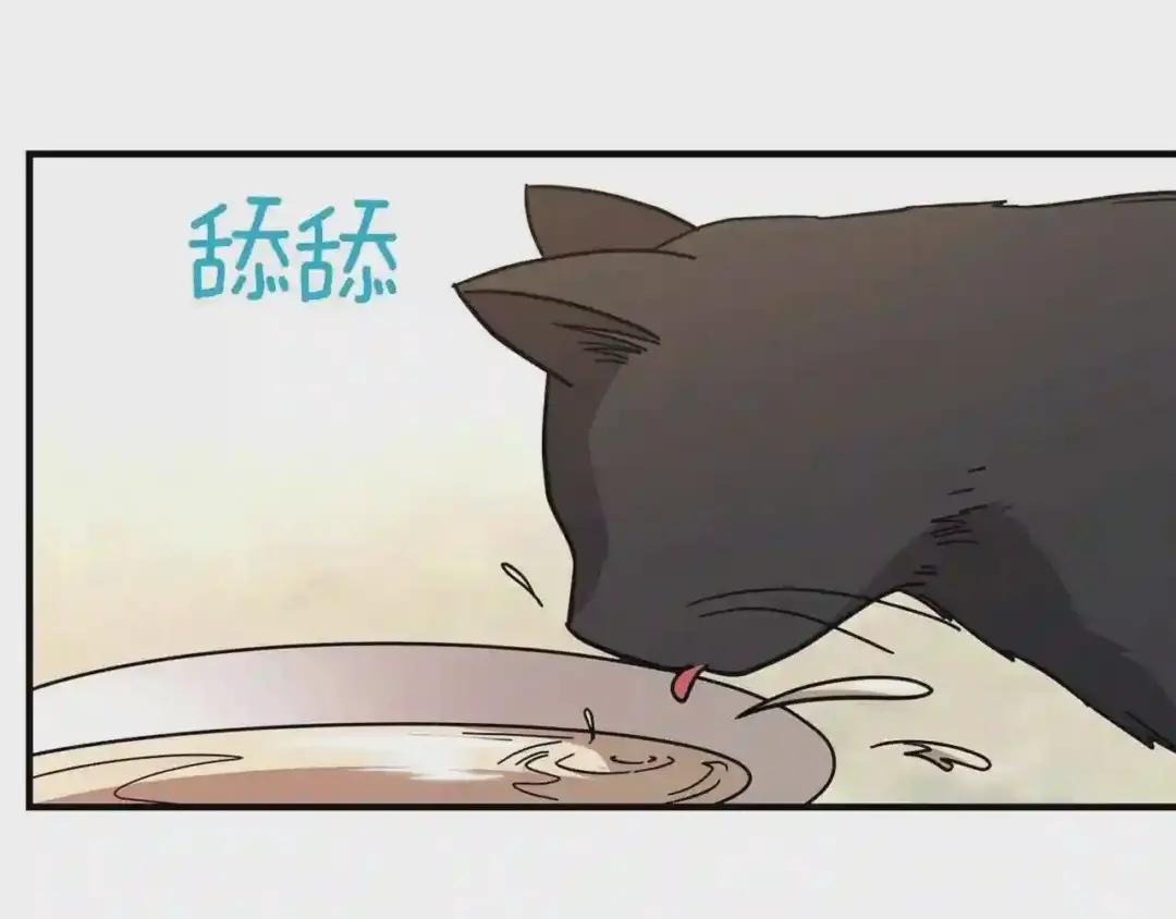 第17话 我是你的猫