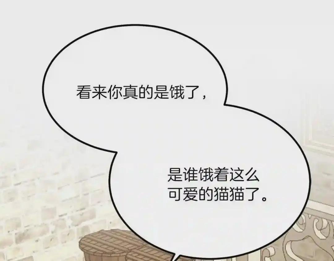 第17话 我是你的猫