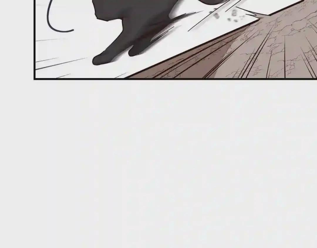 第17话 我是你的猫