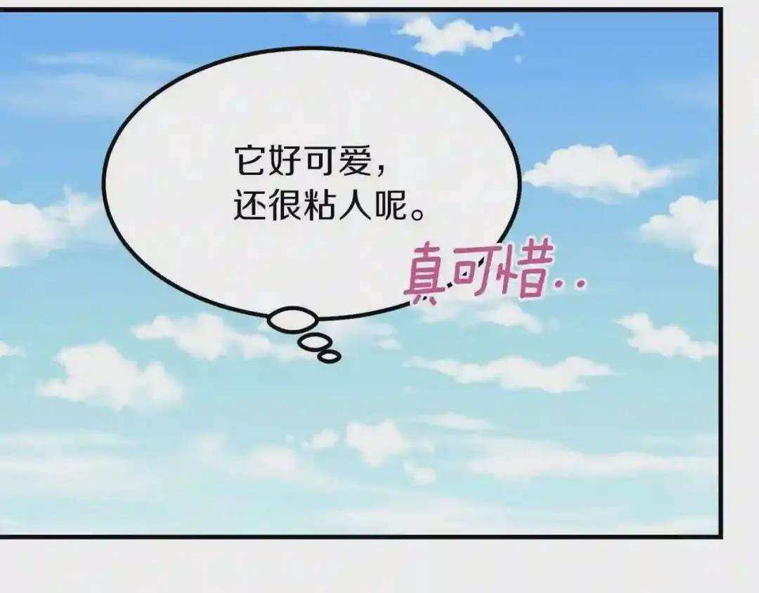 第17话 我是你的猫