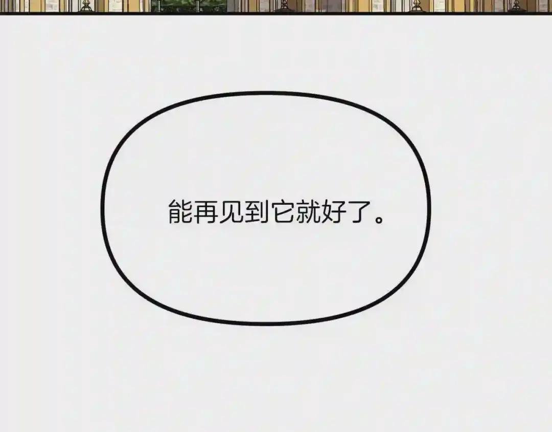 第17话 我是你的猫