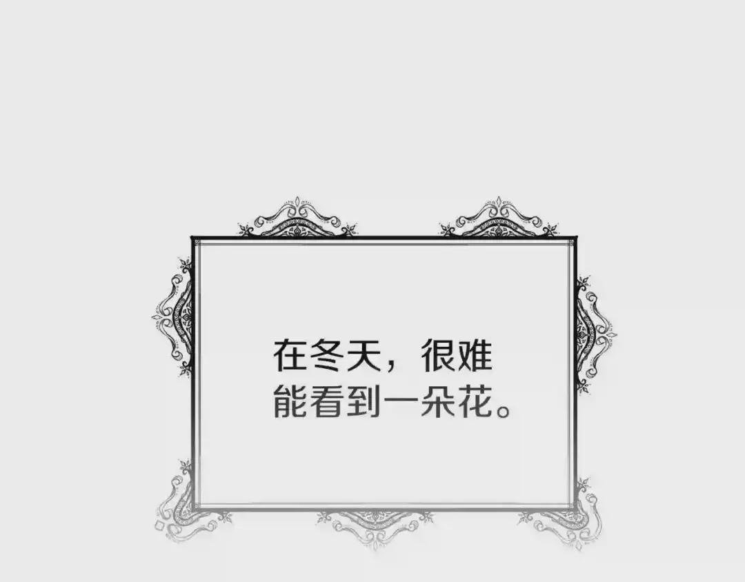 第22话 玫瑰花语