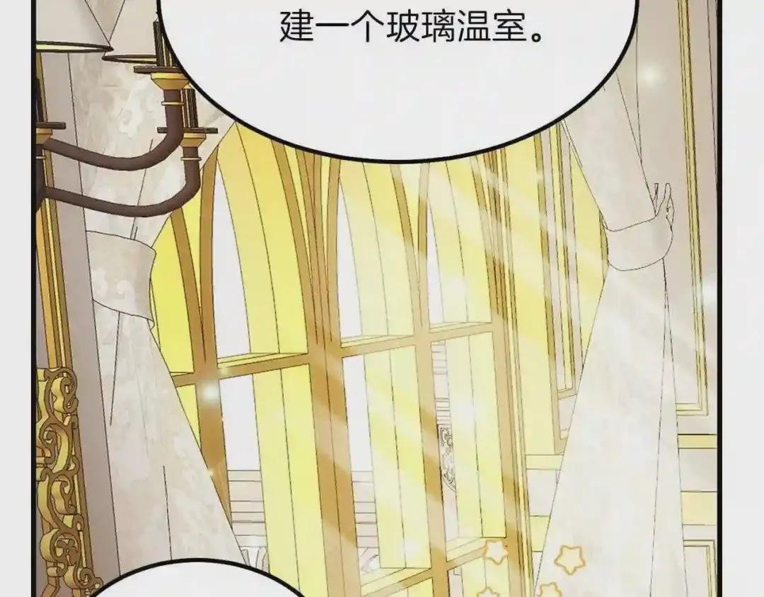 第22话 玫瑰花语