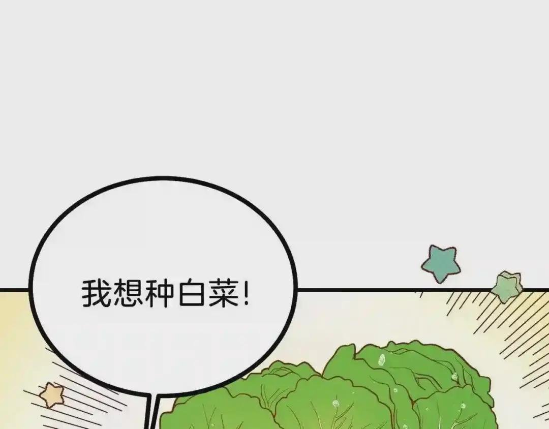 第22话 玫瑰花语