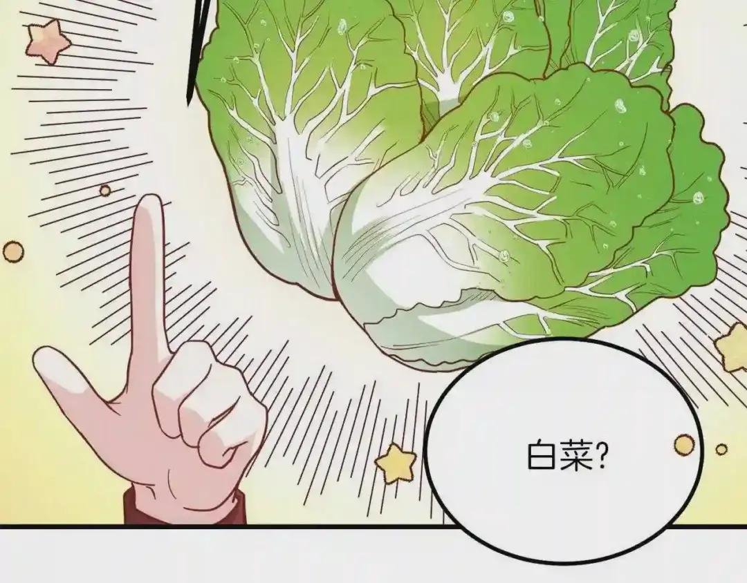 第22话 玫瑰花语