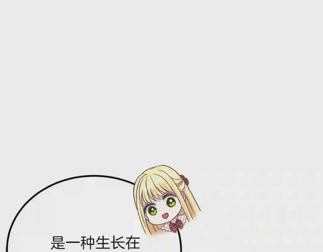 第22话 玫瑰花语