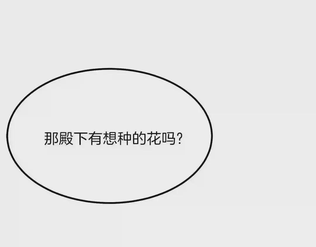 第22话 玫瑰花语