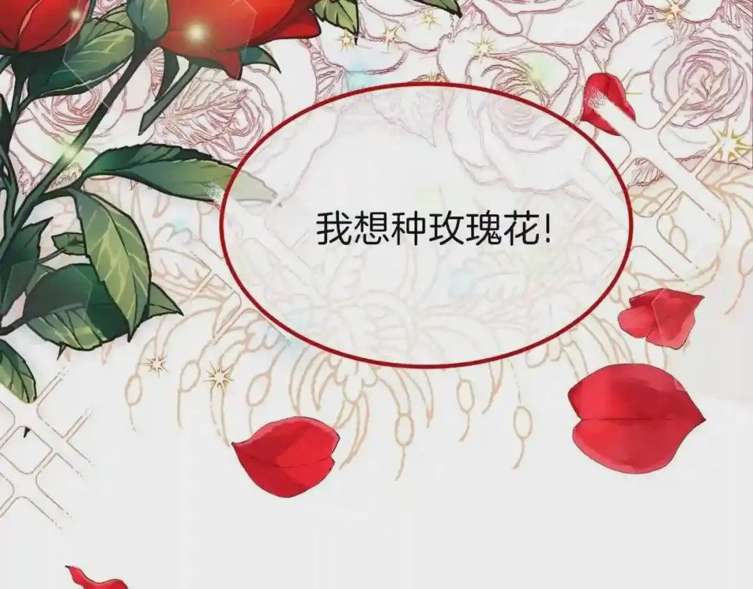第22话 玫瑰花语
