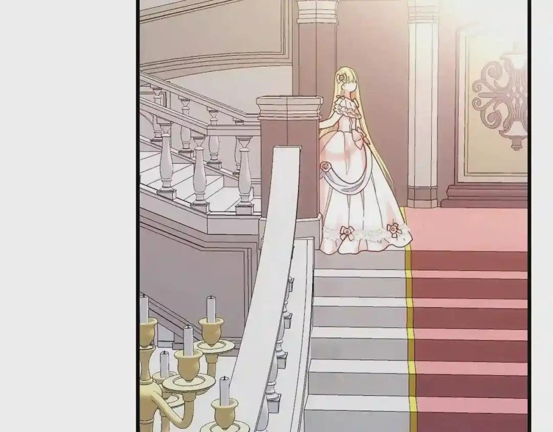 第22话 玫瑰花语